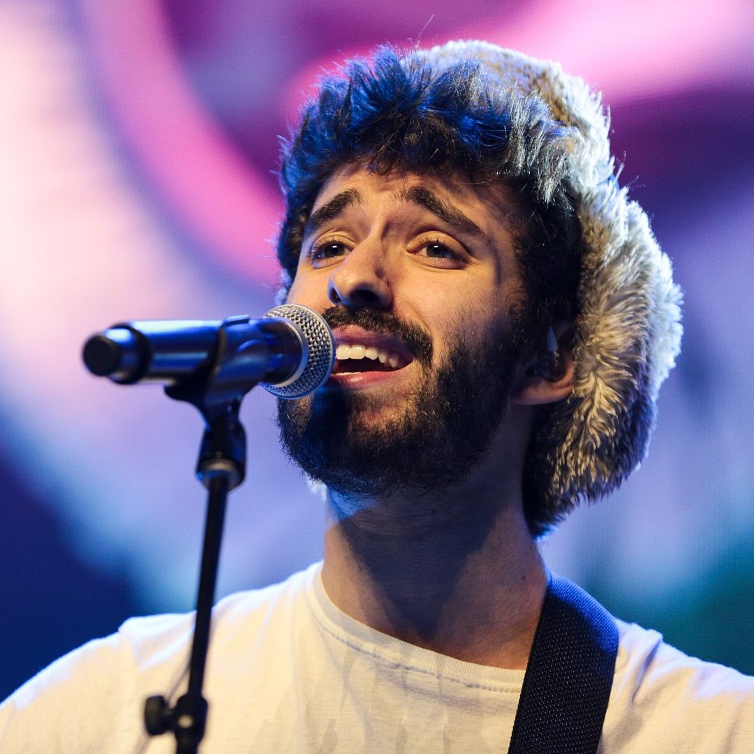 Audience at a AJR concert